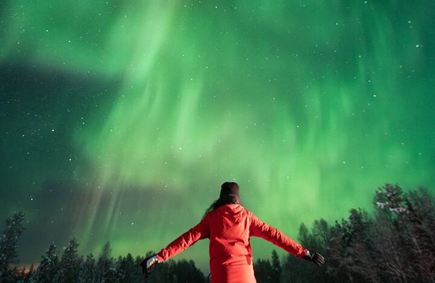 Rovaniemi Insider: Guaranteed Northern Lights Tour
