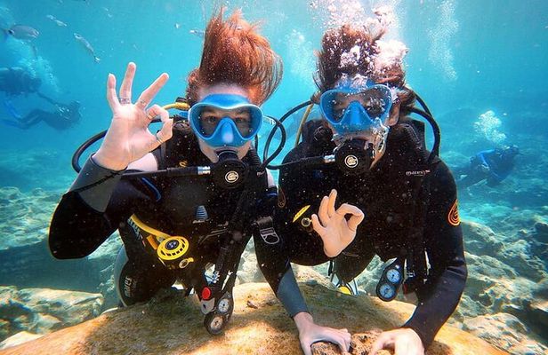 Discover Scuba Diving for Beginners