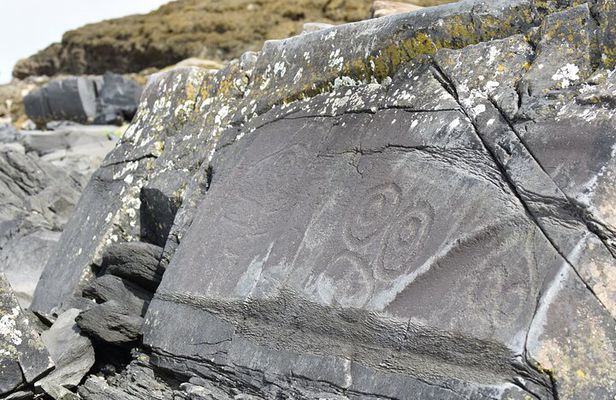 Wrangell E-Bike and Hike Adventure