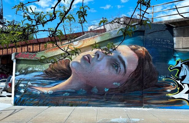 Offbeat Fulton Market Graffiti and Murals Street Art Tour