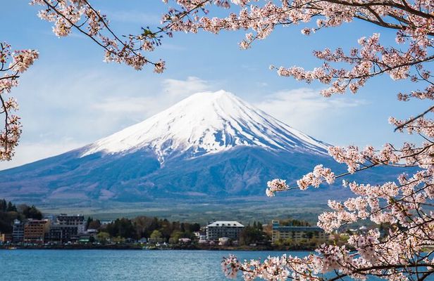 Mount Fuji Private Tour With English Guide Fully Customizable