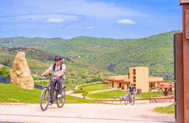 Florence: E-Bike tour to Fiesole with optional Pool or Olive Oil
