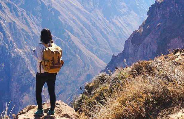 Colca Full Day Arequipa with Feed Included 