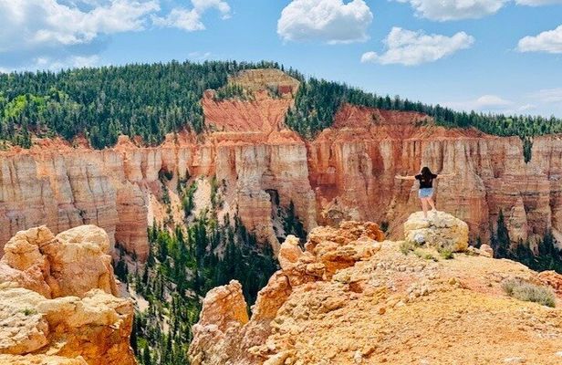 YOU DRIVE!! Back Country Views of Bryce Canyon UTV Tour-Full Day!