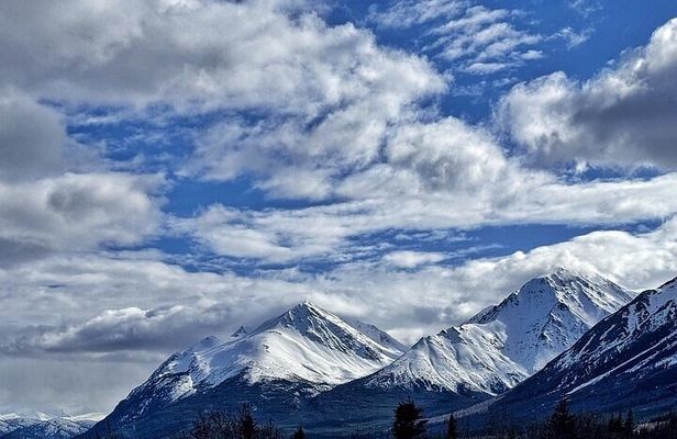 Private 4 Hour tour to White Pass and the Yukon Suspension Bridge
