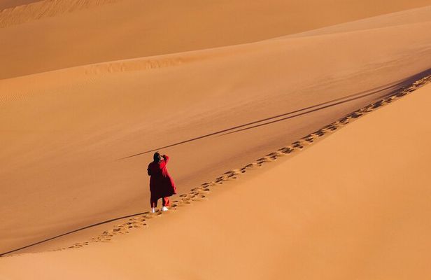 Tura Turpan 4WD Private Exploration Tour