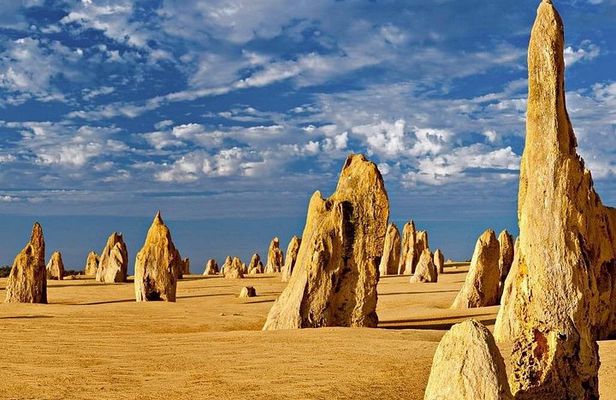 6 Hours Pinnacles Express Tour