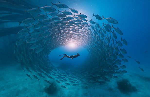 5 Secret Gili Snorkeling & Hoping Island from Gili Gede to Asahan
