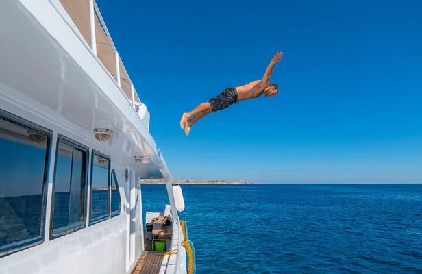 Ras Mohamed & White Island Full Day Adventure in Sharm El Sheikh
