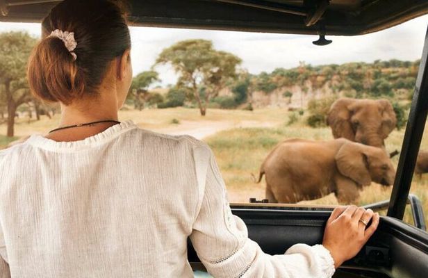 Pilanesberg Full Day Safari Tour with Lunch from Johannesburg