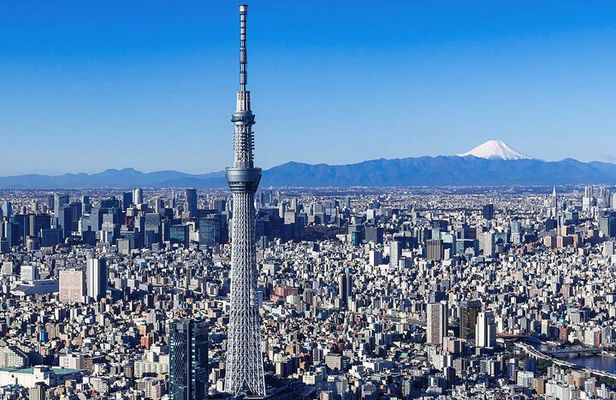 Tokyo Private Custom Full Day Sightseeing Tour by Chartered Car