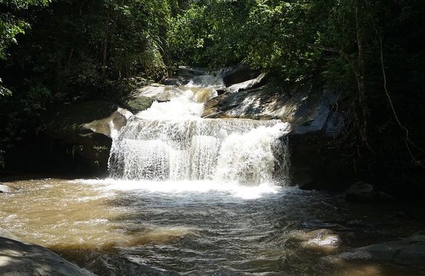 Chiang Mai Trekking Tour :Full day (no rafting)