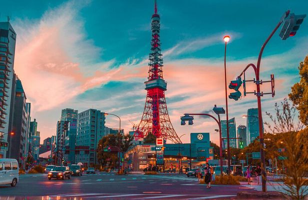 Tokyo, Hakone, Mt Fuji, and Nikko, 3 Day Private Tour