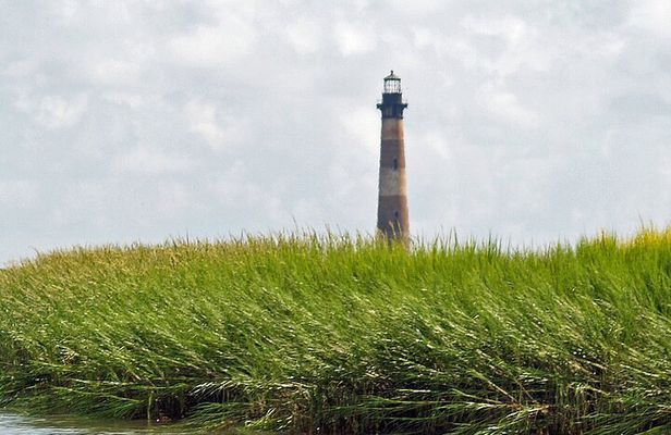 Private Dolphin, Lighthouse and Shelling Adventure (Folly Beach)