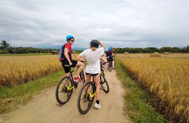 Chiang Mai Rice Fields Bike Tour Along Mae Ping River