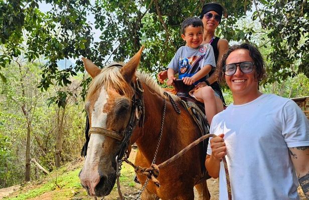 Hands-on Mexican Farm Experience: from Cow to Cheese
