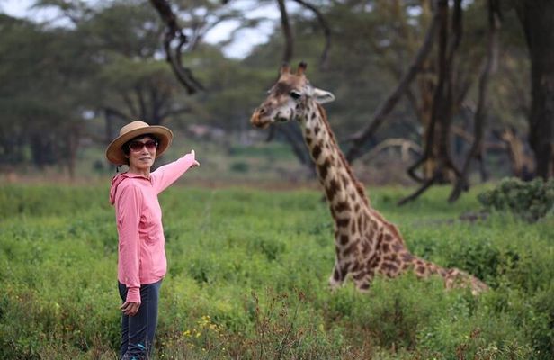 5Day Masai Mara, Lake Nakuru and Naivasha Daily Budget Safari