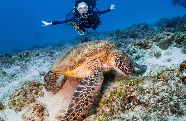 Discover Scuba Diving With Sea Turtles – Xiaoliuqiu, Taiwan