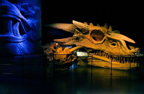 Game of Thrones Studio Tour Admission Ticket