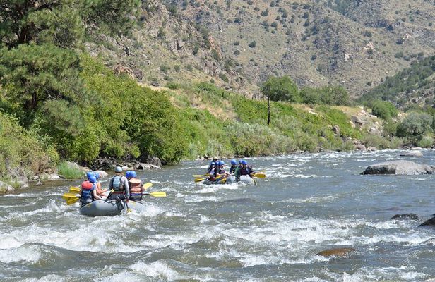 Bighorn Sheep Canyon Half Day Beginner Whitewater Rafting Tour