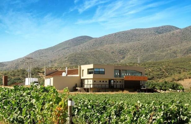 Valle de Guadalupe Private Wine Tour