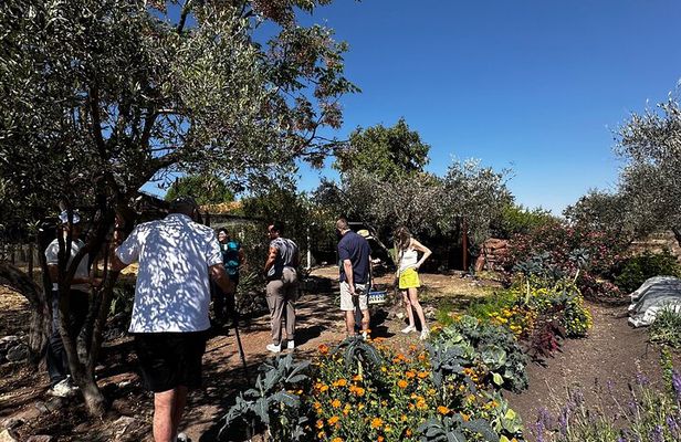 Farm to Table Cooking Experience in San Miguel