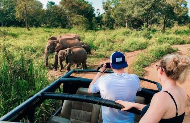 Trincomalee to Sigiriya : Rural Village Tour & Elephant Safari 