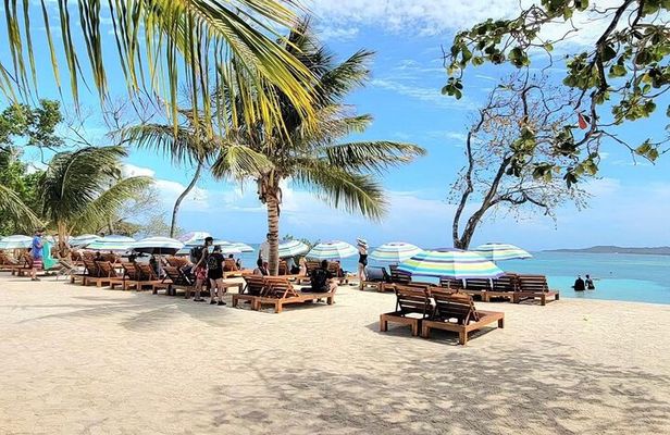 Roatan Monkey and sloths, Reef Snorkel & Private Cay Beach Break 