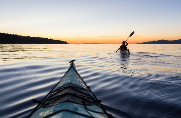 False Bay Walk & Penguin Kayak Experience - Best thing to do