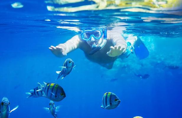 Bali Blue Lagoon Snorkeling with Private Transfer and Lunch