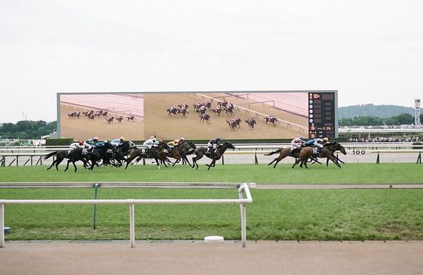 Horse Racing Tour with Local Fans in Tokyo(with Ticket)