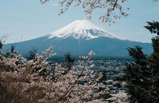 Private Mount Fuji Tour: Scenic Views, Lakes & Local Culture