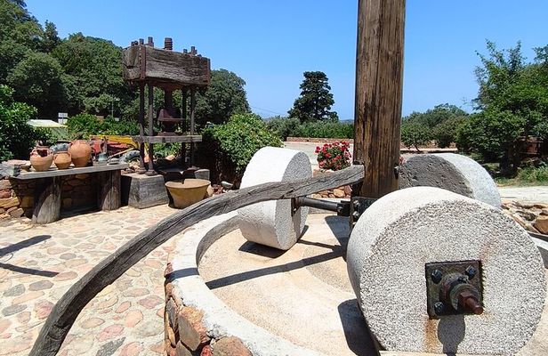 Chania Old Town - Millennial Olive Tree - Olive Oil Mill