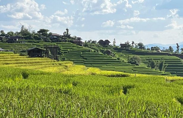 Private Tour to Chiang Mai Rice Terraces and National Park