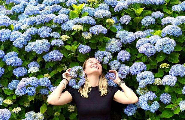 Small Group Tour for Jeju Hydrangea & Mt. Halla incl. Admissions