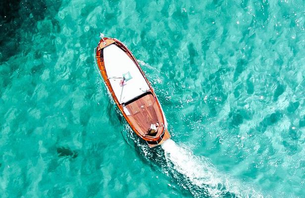 Half Day Boat Tour in Tavolara and Molara