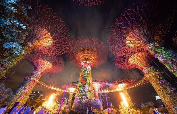 Singapore Guided Night Tour with 2 Light Shows & River Cruise 