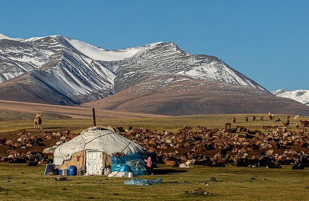 Discover Altai Mountains 8-Day Joining Tour in Western Mongolia