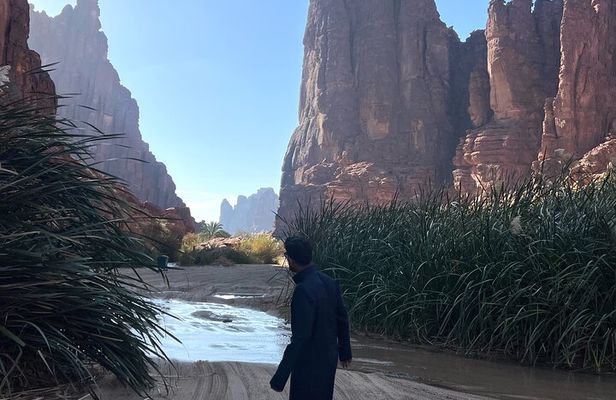 Wadi Al Disah Trip from Alula