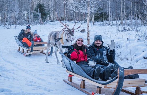 Kuoksa Reindeer Adventure