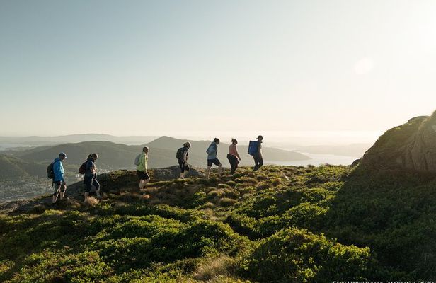 On Top of Bergen - Public Tour