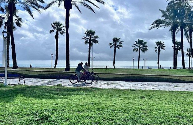 Malaga E-Bike Tour: Old Town, Gibralfaro Forest and Coast