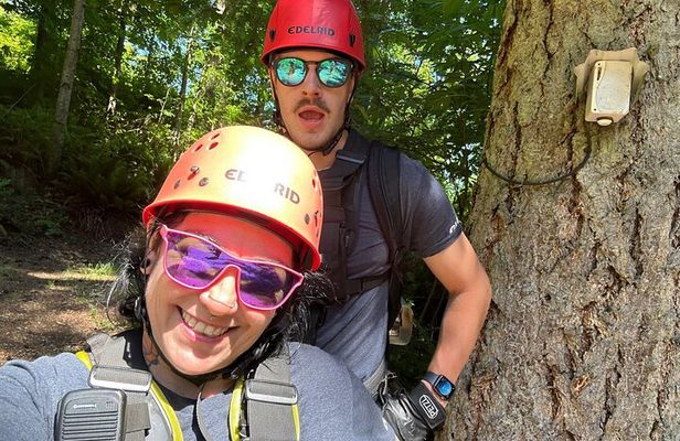 Enchanting Zipline , Camano Island and Deception Pass Tour