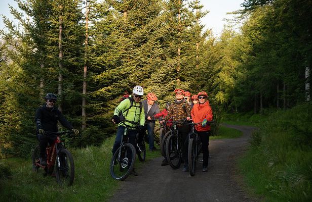 Akureyri Guided E-Bike Tour