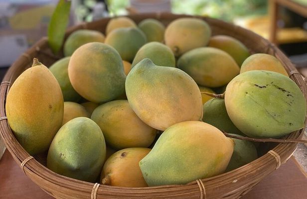 Tour a Hidden Mango and Coconut Orchard at Lahaina