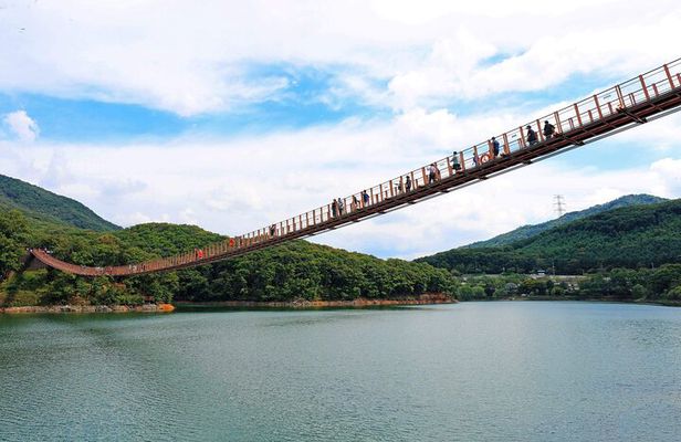 Myeongdong Seoul Bus Coach Tour Experience