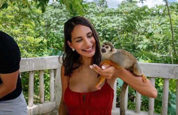 Monkeyland and Plantation in Punta cana 