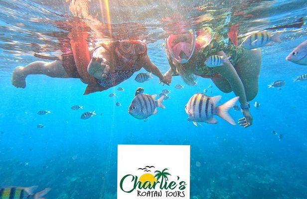 Snorkeling By Reef + West Bay Beach Break