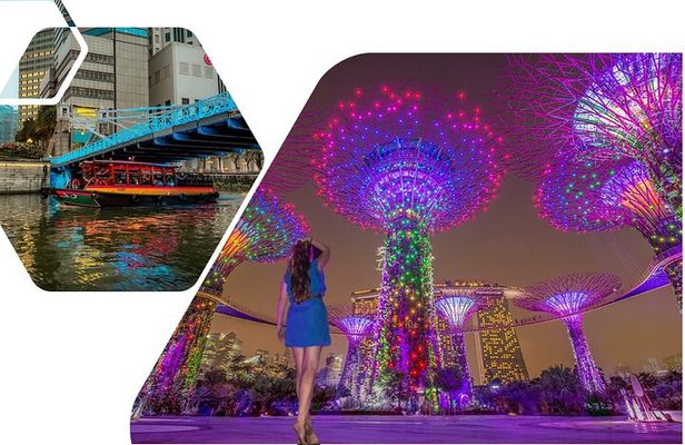 Private Guided Night Tour: 2 Light Shows &Singapore River Cruise