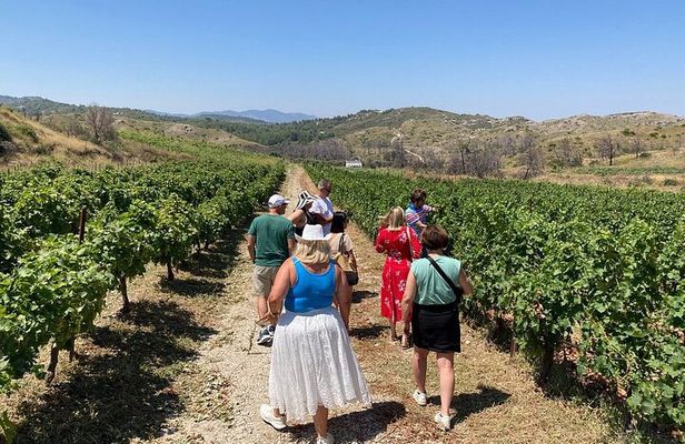Private Tour Rhodes, Valley of the Butterflies & Local Winery